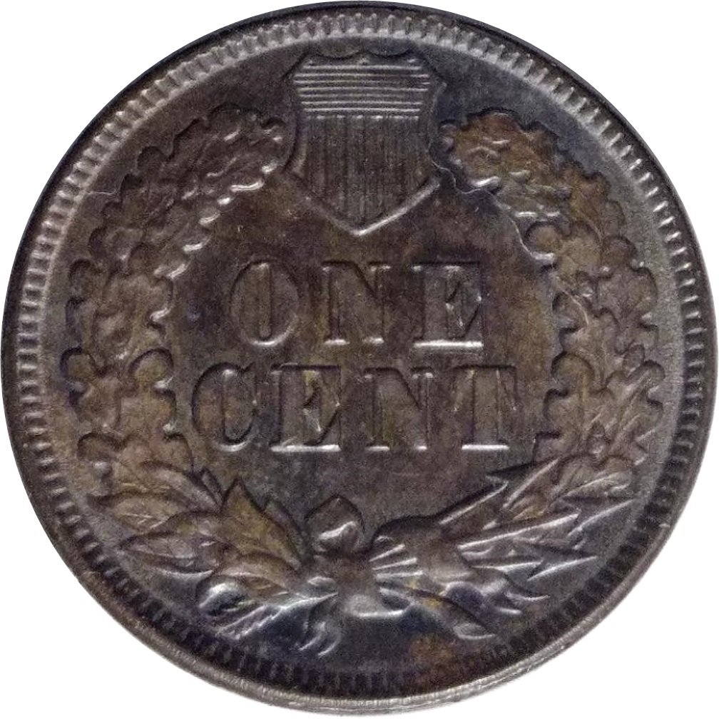 1893-Indian-Head-Cent-#2-Dark